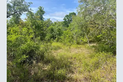 Rome Avenue, Alford, FL 32420 - Photo 3