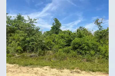 Rome Avenue, Alford, FL 32420 - Photo 7