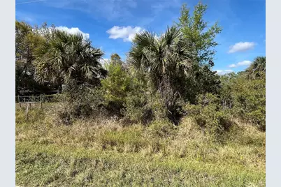 14667 NW 294th Street, Okeechobee, FL 34972 - Photo 5