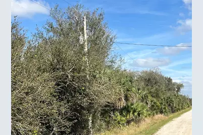 14667 NW 294th Street, Okeechobee, FL 34972 - Photo 7