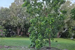 13206 SW 144th Pkwy, Okeechobee, FL 34974 - Photo 47