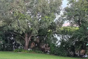 13206 SW 144th Pkwy, Okeechobee, FL 34974 - Photo 49