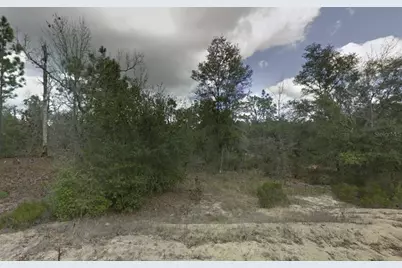 187 Paris Street, Interlachen, FL 32148 - Photo 1