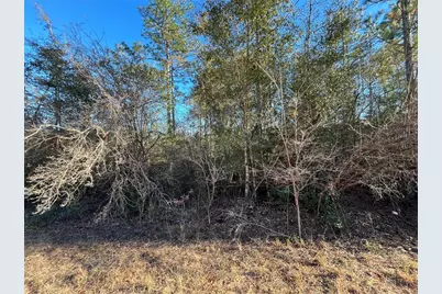 Goreville Avenue, Alford, FL 32420 - Photo 5