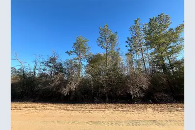 Goreville Avenue, Alford, FL 32420 - Photo 3