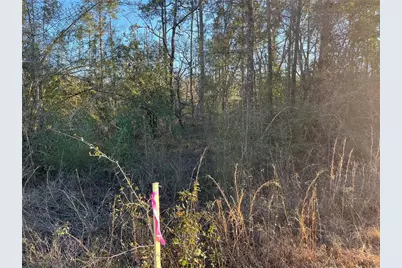 Goreville Avenue, Alford, FL 32420 - Photo 7