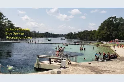 Goreville Avenue, Alford, FL 32420 - Photo 9