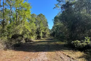 208 SE 3rd St, Georgetown, FL 32139 - Photo 1