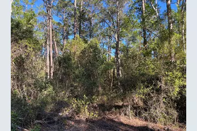 208 SE 3rd Street, Georgetown, FL 32139 - Photo 3