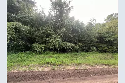 915 Annette Avenue, Interlachen, FL 32148 - Photo 11