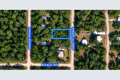 915 Annette Avenue, Interlachen, FL 32148 - Photo 1