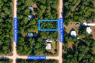 915 Annette Ave, Interlachen, FL 32148 - Photo 1