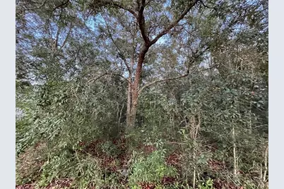 512 Oakcrest Drive, Interlachen, FL 32148 - Photo 5