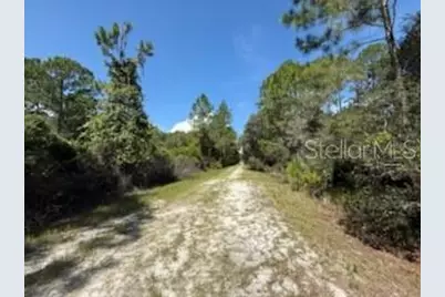 337 Palm Way, Georgetown, FL 32139 - Photo 5