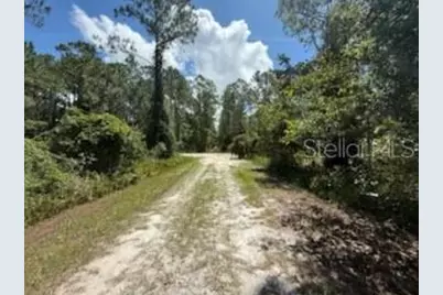 337 Palm Way, Georgetown, FL 32139 - Photo 3