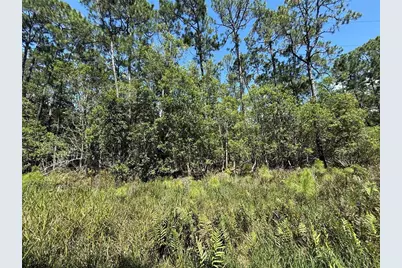 210 SE 2nd Street, Georgetown, FL 32139 - Photo 1