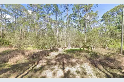 210 SE 2nd Street, Georgetown, FL 32139 - Photo 5