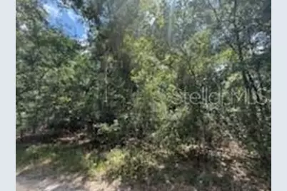 313 Calhoun Avenue, Florahome, FL 32140 - Photo 5