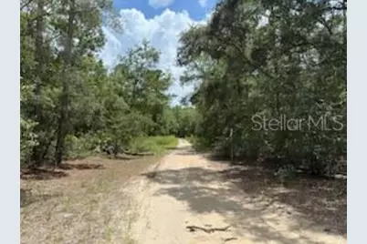 109 Pinellas Street, Florahome, FL 32140 - Photo 7