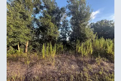 19426 NW 270th Street, Okeechobee, FL 34972 - Photo 5