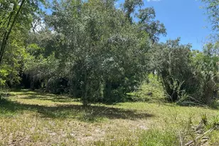 1715 NE 308th St, Okeechobee, FL 34972 - Photo 45