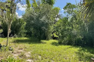 1715 NE 308th St, Okeechobee, FL 34972 - Photo 5