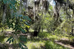 1715 NE 308th St, Okeechobee, FL 34972 - Photo 11