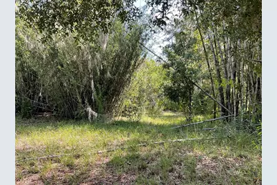 1715 NE 308th Street, Okeechobee, FL 34972 - Photo 7