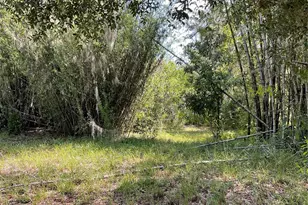 1715 NE 308th St, Okeechobee, FL 34972 - Photo 7