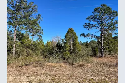 Fairview Road, Marianna, FL 32448 - Photo 1