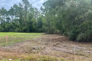 122 Glenside St, Georgetown, FL 32139 - Photo 1