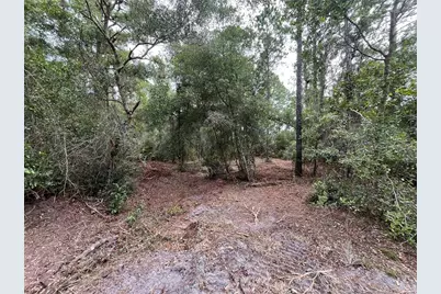 122/124 Glenside Street, Georgetown, FL 32139 - Photo 5