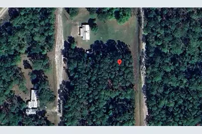 117 Mosswood Street, Georgetown, FL 32139 - Photo 7