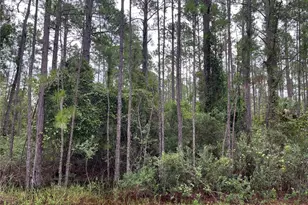 117 Mosswood St, Georgetown, FL 32139 - Photo 1