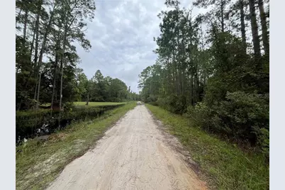 117 Mosswood Street, Georgetown, FL 32139 - Photo 5