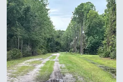 117 Mosswood Street, Georgetown, FL 32139 - Photo 3