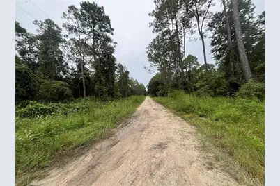 Hickory Nut Trail, Satsuma, FL 32189 - Photo 5