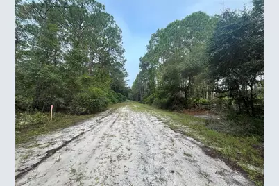 119 Gardenia Avenue, Georgetown, FL 32139 - Photo 3