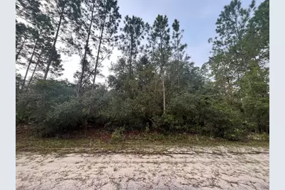 119 Gardenia Avenue, Georgetown, FL 32139 - Photo 1