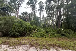 120 Gardenia Ave, Georgetown, FL 32139 - Photo 1