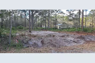 107 Pine Avenue, Georgetown, FL 32139 - Photo 1