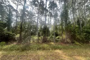 107 Pine Ave, Georgetown, FL 32139 - Photo 1