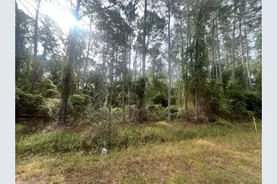 223 SE 2nd Street, Georgetown, FL 32139 - Photo 5