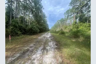 223 SE 2nd Street, Georgetown, FL 32139 - Photo 3