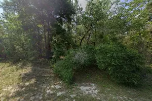 79th Terrace Rd, Dunnellon, FL 34432 - Photo 1