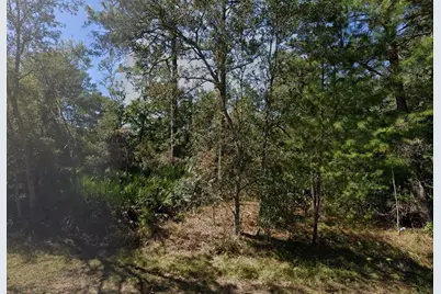 Tbd Theresa Avenue, Interlachen, FL 32148 - Photo 7