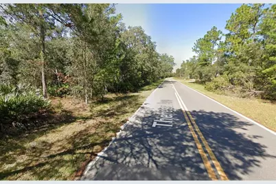 Tbd Theresa Avenue, Interlachen, FL 32148 - Photo 9