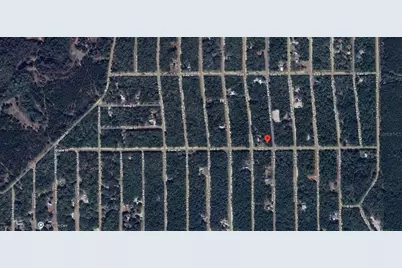 Tbd Theresa Avenue, Interlachen, FL 32148 - Photo 3