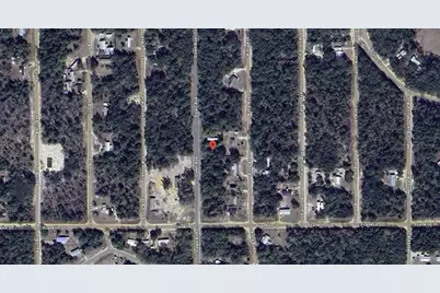 Dawn Avenue, Interlachen, FL 32148 - Photo 3