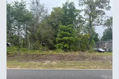 Dawn Avenue, Interlachen, FL 32148 - Photo 1